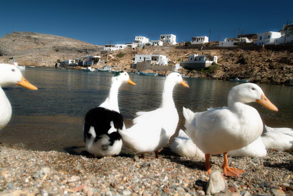 Romanza Χερρόνησος Εξωτερικό φωτογραφία